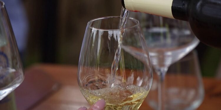 Shqipëria rrit eksportet e verës me 82% krahasuar me vitin e kaluar.