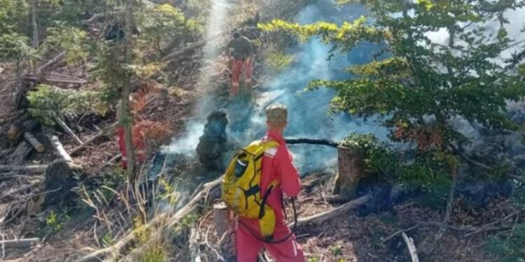Situata e zjarreve në vend: 10 vatra aktive, tre të tjera nën vëzhgim, në terren janë dhjetëra forca zjarrfikëse.
