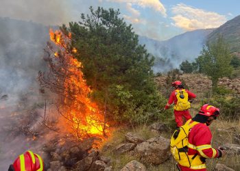 Situata e zjarreve në vend: 13 vatra aktive në 24 orët e fundit, 7 prej të cilave vazhdojnë të jenë aktive