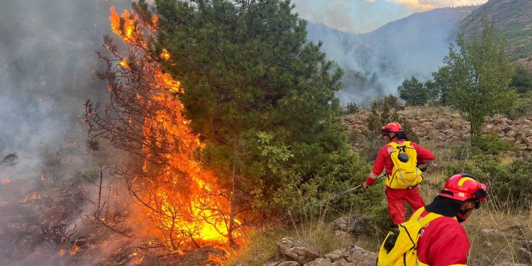 Situata e zjarreve në vend: 13 vatra aktive në 24 orët e fundit, 7 prej të cilave vazhdojnë të jenë aktive