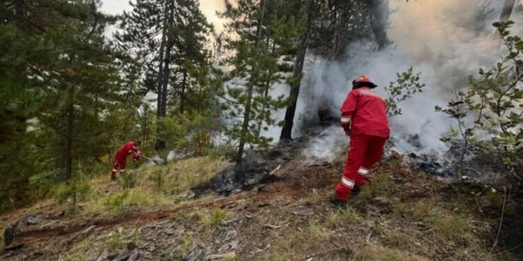 Situata e zjarreve në vend/ 23 vatra në 24 orët e fundit, lufta me flakët vazhdon në Bulqizë dhe Fushë Arrëz