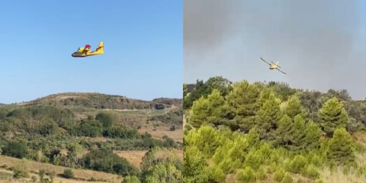 Situata e zjarreve në vend, Emiratet e Bashkuara Arabe dërgojnë dy aeroplanë Black Hawk.