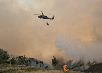 Situata e zjarreve në vend, aktualisht 37 vatra aktive! Rajonet më të prekura.