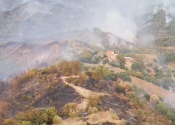 Situata në fshatrat e Gramshit stabilizohet/ Banorët kthehen në shtëpi, vazhdon e shkatërrimi i kafshëve të djegura.