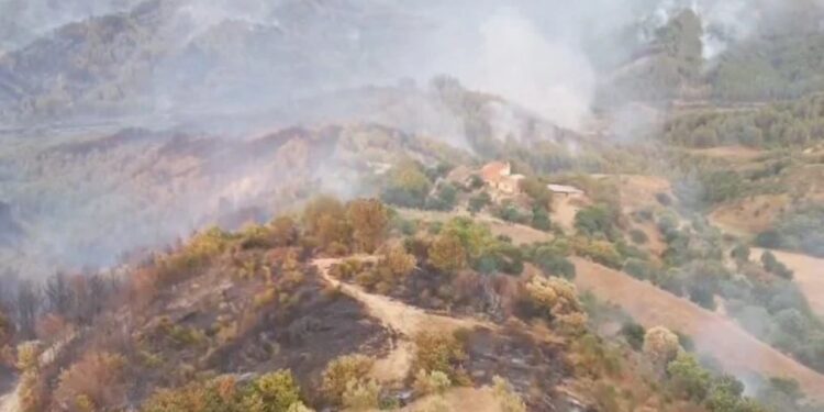 Situata në fshatrat e Gramshit stabilizohet/ Banorët kthehen në shtëpi, vazhdon e shkatërrimi i kafshëve të djegura.