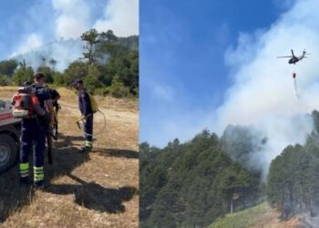 Situatë kritike në pyjet e Gramshit, terreni i pjerrët e bën të vështirë kontrollet e flakëve.