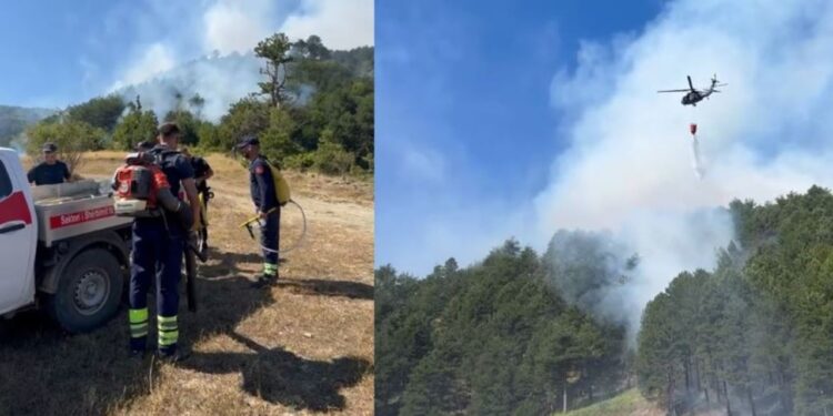 Situatë kritike në pyjet e Gramshit, terreni i pjerrët e bën të vështirë kontrollet e flakëve.