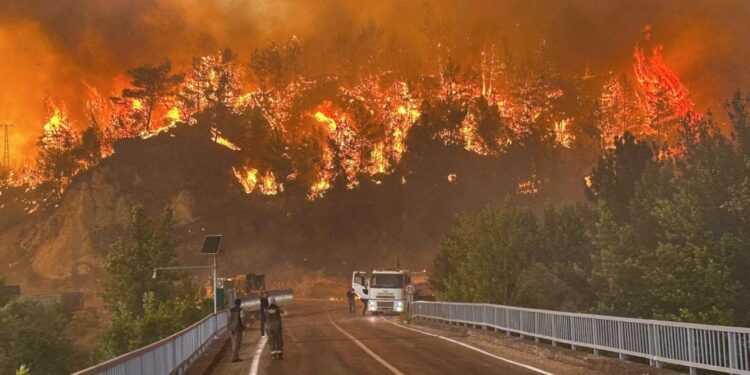 Tërmeti i zjarreve në Mesdhe: 24 të vdekur dhe 65 mijë të evakuar këtë verë.