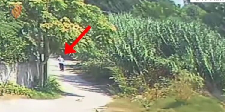 Tre persona të arrestuar në Fier dhe Lushnje për zjarrvënie të qëllimshme, rrezikohen banesat dhe sipërfaqet e gjelbra.