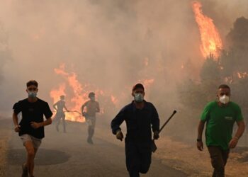 Tre viktima në Spanjë nga zjarret shkatërruese! Vala e të nxehtit ekstrem "përfshin" Europën.