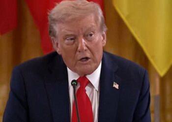 Trump harron mikrofonin e hapur, zbulohen fjalët për Vladimir Putin gjatë bisedës me Macron