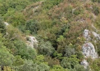 Trupi i pajetë i 56-vjeçarit zbulohet në Elbasan gjatë kërkimeve për qenin që ruante bagëtinë e tij