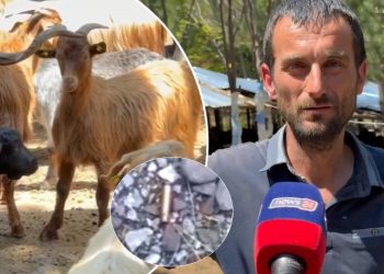 U zgjova nga krismat e armëve, ndiejmë traumë.