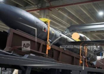 Ukraina zbardh raketën e re me rreze të gjatë veprimi "Flamingo", fillon prodhimin masiv për herë të parë.