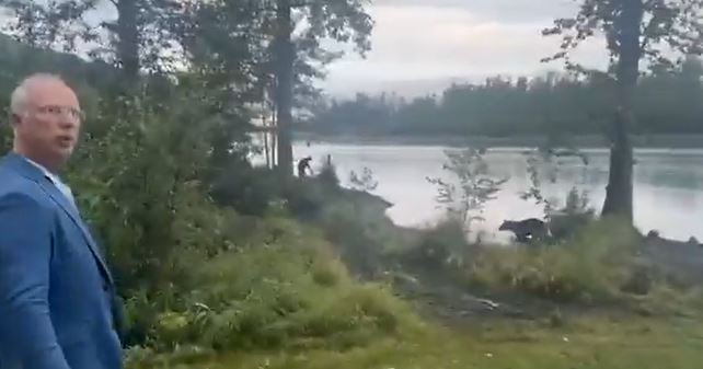 VIDEO/ "Një ari i tillë në Alaskë, dërguari i veçantë i Putinit: Kjo është një shenjë pozitive për takimin"