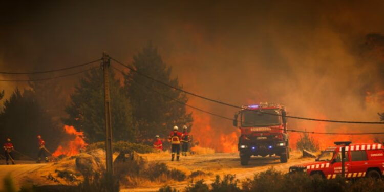 Vdekje të rënda nga ndotja e nxehtësisë dhe flakët shkatërruese në Mesdhe: Tre viktima dhe mijëra të evakuuar.