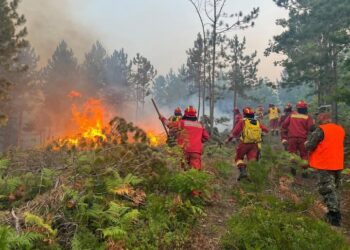 Vendi mbetet në ‘alert’ për shkak të zjarreve, 23 vatra aktive! Zonat që vazhdojnë të përballen me flakët.