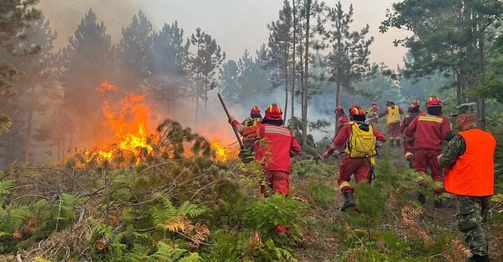 Vendi mbetet në ‘alert’ për shkak të zjarreve, 23 vatra aktive! Zonat që vazhdojnë të përballen me flakët.