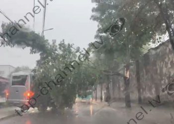 Video/ Era e fuqishme shemb pemët në kryeqytet! Rrjetet e trafikut të ngarkuara në disa zona.
