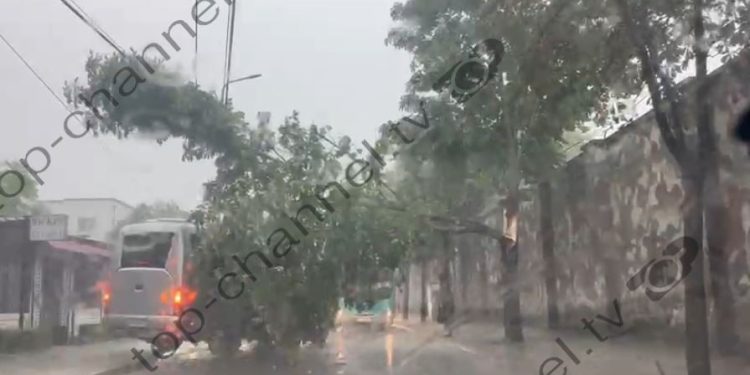 Video/ Era e fuqishme shemb pemët në kryeqytet! Rrjetet e trafikut të ngarkuara në disa zona.