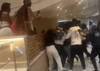 Video/ Përleshje e ashpër për mish pule në një anije turistike