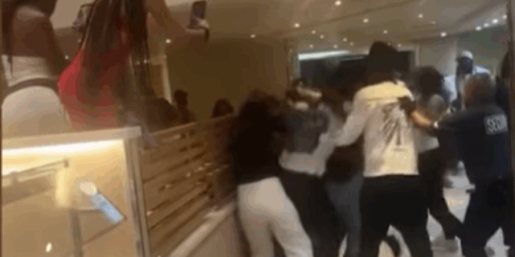 Video/ Përleshje e ashpër për mish pule në një anije turistike