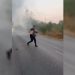 Video/ Polici nderohet me Certifikatën për Shërbime të Dalluara për shpëtimin e tre të plagosurve nga aksidenti në Fier