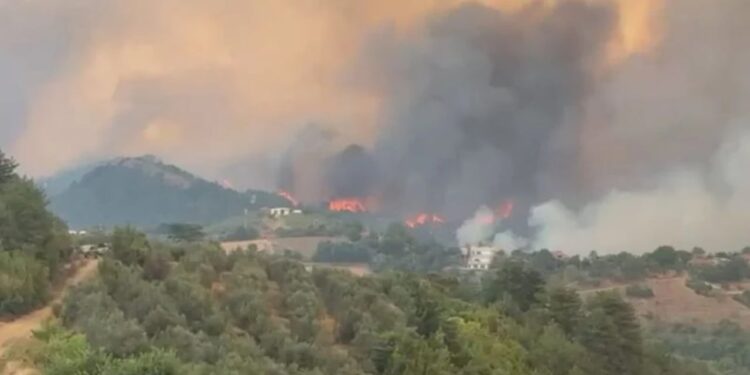 Zjar i madh në territor/ 46 të ndaluar që nga qershori, 91 individë nën hetim