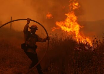 Zjarr i madh në Kanada, autoritetet japin alarm dhe fillon evakuimi i qytetarëve.