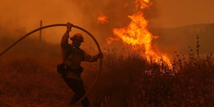 Zjarr i madh në Kanada, autoritetet japin alarm dhe fillon evakuimi i qytetarëve.