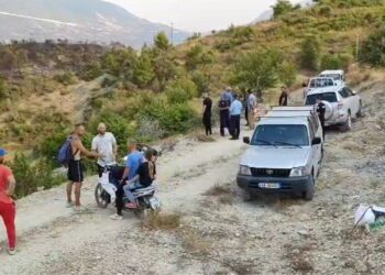 Zjarr i madh përfshin të gjithë njësinë administrative të Plashnikut në Poliçan, disa banorë nuk pranojnë të evakuohen.
