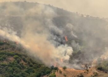 Zjarr i rrezikshëm në Tepelenë, në rrezik stanet me bagëti në pyllin e malit Golik/ Situatë kritike gjithashtu në Finiq