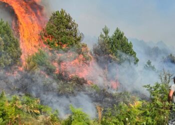 Zjarr në Gramsh/ Ruhet kurora e gjelbër e zonës mbrojtur pranë Liqenit të Dushkut, vatra aktive në malin e Komjanit.