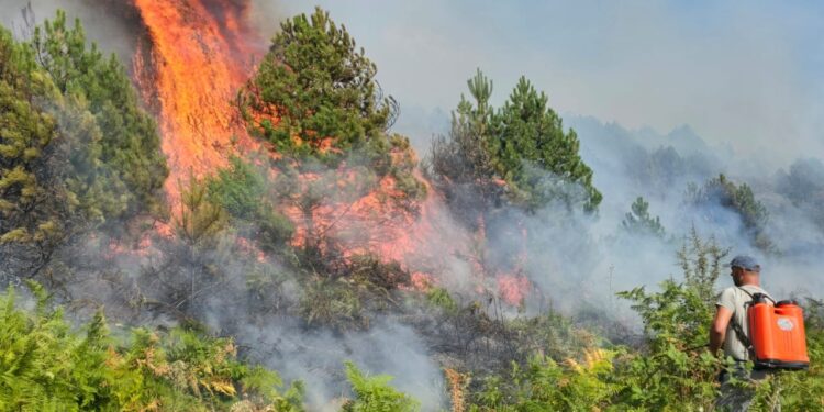 Zjarr në Gramsh/ Ruhet kurora e gjelbër e zonës mbrojtur pranë Liqenit të Dushkut, vatra aktive në malin e Komjanit.