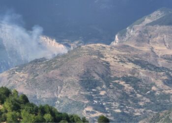 Zjarr në Parkun Natyror Korab-Koritnik-Kallabak, flakët rrezikojnë shtëpitë e afërta