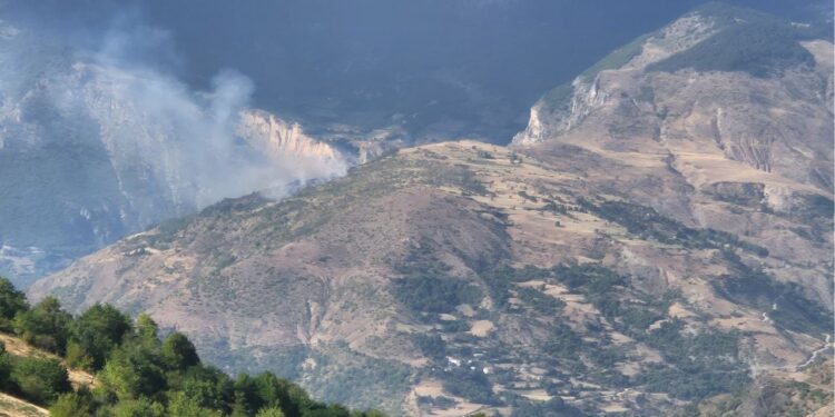 Zjarr në Parkun Natyror Korab-Koritnik-Kallabak, flakët rrezikojnë shtëpitë e afërta