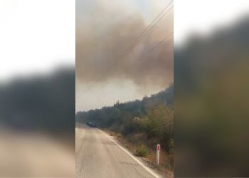 Zjarr në fshatin Vajzë të Selenicës, përfshihet një sipërfaqe e madhe me ullishte dhe pemëtari.