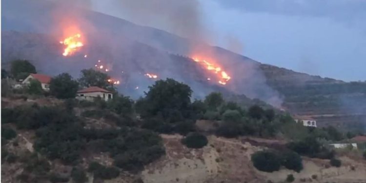 Zjarr në pyllin afër uzinës së Poliçanit/ Rrezik për fshatin nga magazinat me lëndë plasëse në zonë