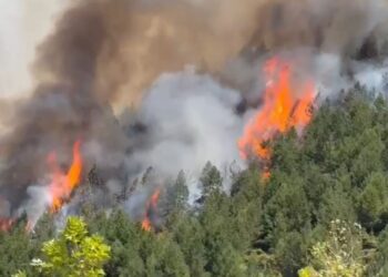 Zjarr në zonën e minuar që nga Lufta e Dytë Botërore në Leskovik, flakët filluan në territorin grek