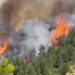 Zjarr në zonën e minuar që nga Lufta e Dytë Botërore në Leskovik, flakët filluan në territorin grek