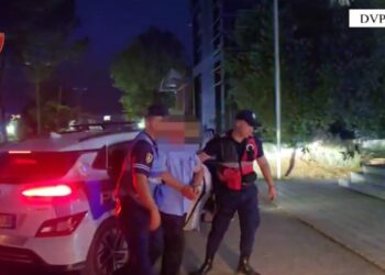 Zjarre aktive në parkun kombëtar të Vjosës dhe në Lushnjë, dy persona të arrestuar për incidentin.