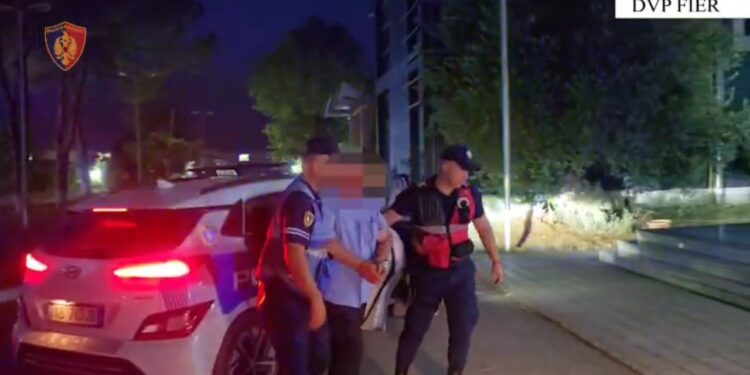 Zjarre aktive në parkun kombëtar të Vjosës dhe në Lushnjë, dy persona të arrestuar për incidentin.