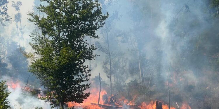 Zjarre të reja shpërthejnë në Bulqizë! Preket zona përreth “Liqenit të Zi”, temperaturat e larta përkeqsojnë situatën.