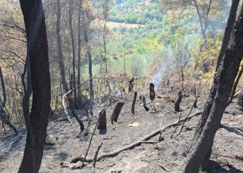 Zjarret në Mallakastër vazhdojnë të jenë aktive, ndërhyrja nga toka vështirësohet nga terreni i thepisur