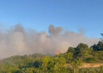 Zjarret në pyjet e Shkodrës, situata në Xah vazhdon të jetë e tensionuar