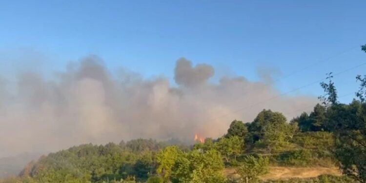 Zjarret në pyjet e Shkodrës, situata në Xah vazhdon të jetë e tensionuar