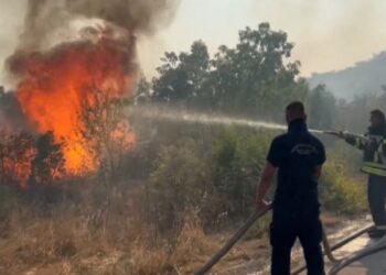 Zjarret shpërthejnë në rajon: Një viktimë në Mal të Zi! Dhjetëra vatra aktive në Kosovë, situatë e vështirë edhe në Maqedoninë e Veriut.