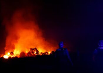 Zjarret "sulmojnë" Malin e Zi, zona bregdetare në flakë! Serbia dhe Kroacia dërgojnë ekipe ndihme.
