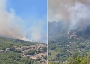 Zjarri i afërt me shtëpitë në Tërbaç të Vlorës, banorët kërkojnë ndihmë ajrore.