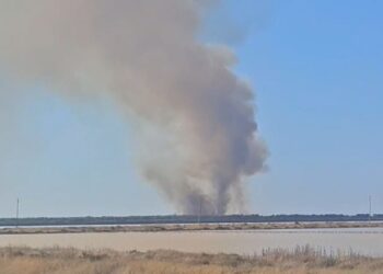 Zjarri i madh shërben për të shkrumbuar pyllin me pisha afër lagunës së Nartës